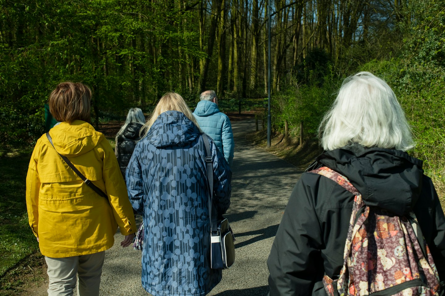 Des personnes âgées se promènent sur un sentier forestier par une journée ensoleillée.